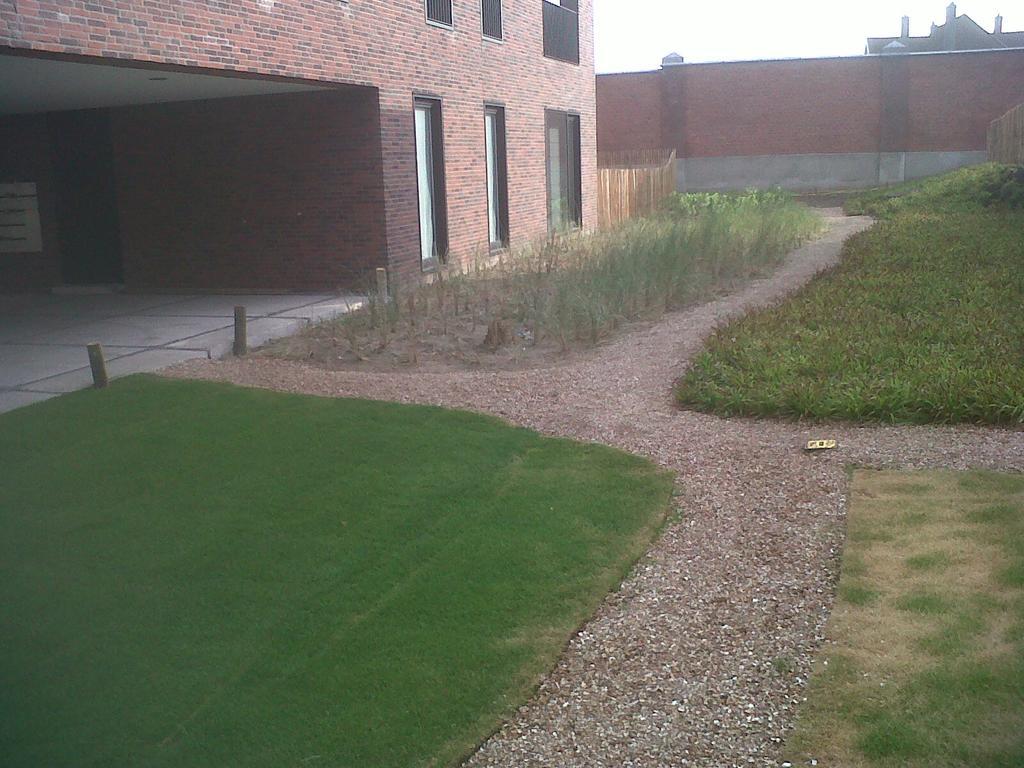 Voeten In Het Apartamento *